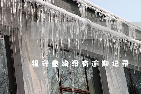 银行查询没有逾期记录 银行查询没有逾期记录