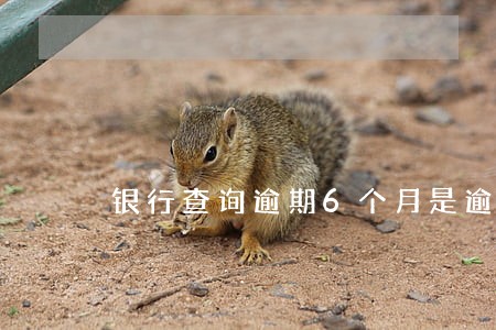 银行查询逾期6个月是逾期几次 银行查询逾期6个月是逾期几次