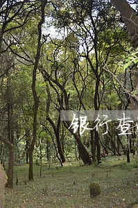 银行查逾期次数 银行查逾期次数