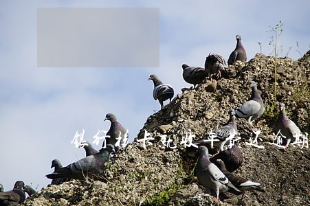 银行核卡就收年费还逾期 银行核卡就收年费还逾期