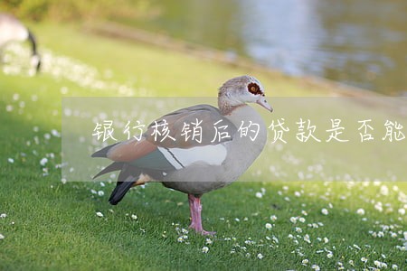 银行核销后的贷款是否能只还本金 银行核销后的贷款是否能只还本金