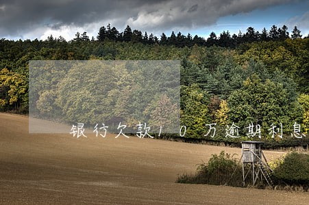 银行欠款10万逾期利息九万 银行欠款10万逾期利息九万