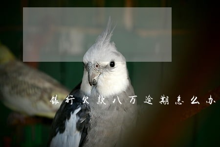 银行欠款八万逾期怎么办 银行欠款八万逾期怎么办