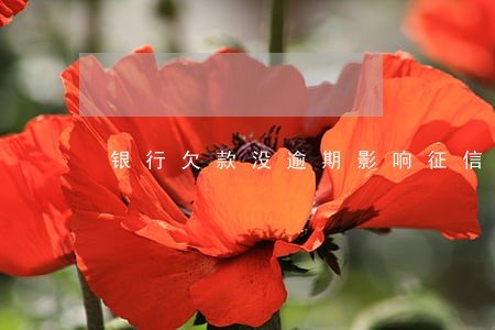 银行欠款没逾期影响征信吗 银行欠款没逾期影响征信吗