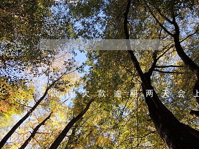 银行欠款逾期两天会上征信吗 银行欠款逾期两天会上征信吗