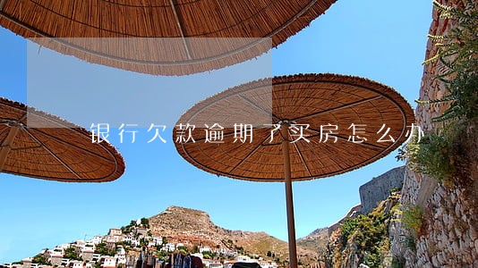 银行欠款逾期了买房怎么办 银行欠款逾期了买房怎么办