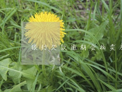 银行欠款逾期会拍卖房产吗 银行欠款逾期会拍卖房产吗