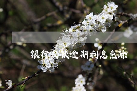 银行欠款逾期利息免除