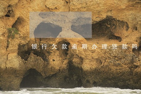 银行欠款逾期办理贷款吗 银行欠款逾期办理贷款吗