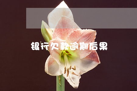 银行欠款逾期后果