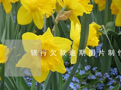银行欠款逾期图片制作 银行欠款逾期图片制作