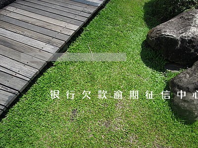银行欠款逾期征信中心会发信息吗 银行欠款逾期征信中心会发信息吗