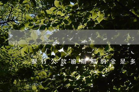 银行欠款逾期滞纳金是多少