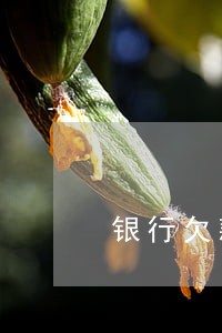 银行欠款逾期的诉讼 银行欠款逾期的诉讼