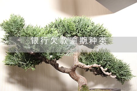 银行欠款逾期种类 银行欠款逾期种类
