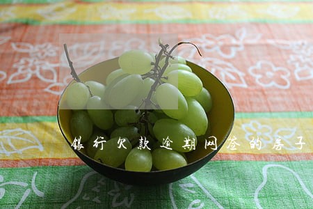 银行欠款逾期网签的房子会查封吗 银行欠款逾期网签的房子会查封吗