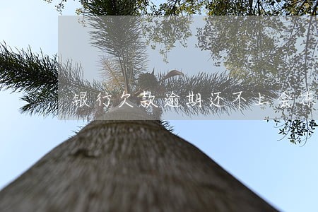 银行欠款逾期还不上会冻结账户 银行欠款逾期还不上会冻结账户