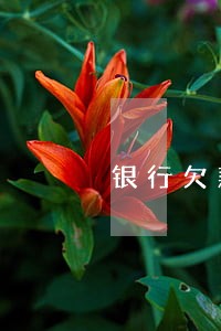银行欠款非恶意逾期证明 银行欠款非恶意逾期证明