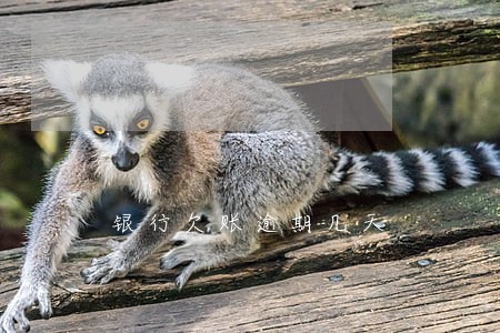 银行欠账逾期几天