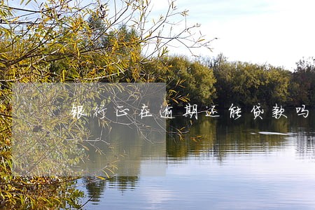 银行正在逾期还能贷款吗 银行正在逾期还能贷款吗