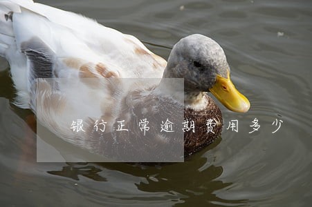 银行正常逾期费用多少 银行正常逾期费用多少