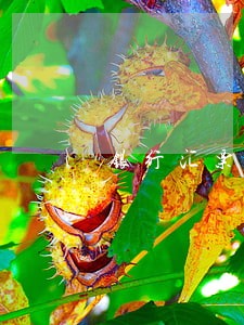 银行汇票逾期处理 银行汇票逾期处理