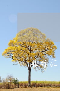 银行汇票逾期理由怎么写 银行汇票逾期理由怎么写