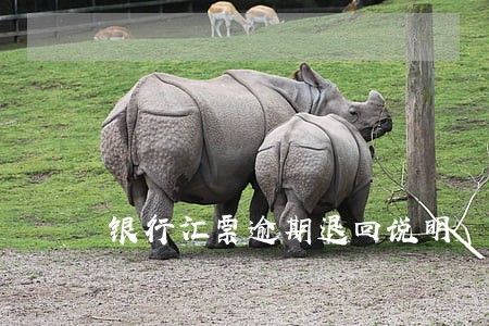 银行汇票逾期退回说明 银行汇票逾期退回说明