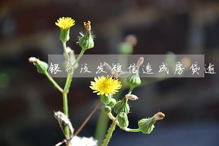 银行没发短信造成房贷逾期还款 银行没发短信造成房贷逾期还款