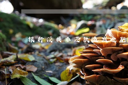 银行没提示还款造成逾期 银行没提示还款造成逾期