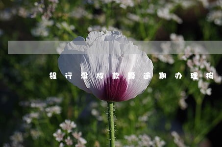 银行没放款算逾期办理按揭么 银行没放款算逾期办理按揭么