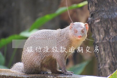银行没放款逾期交房 银行没放款逾期交房