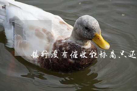 银行没有催收能协商只还本金吗 银行没有催收能协商只还本金吗