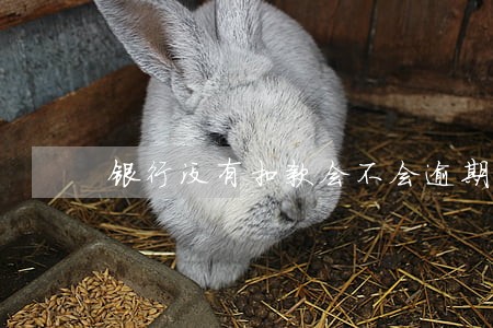 银行没有扣款会不会逾期
