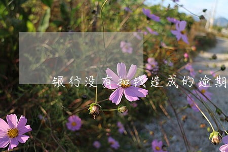 银行没有扣钱造成的逾期 银行没有扣钱造成的逾期