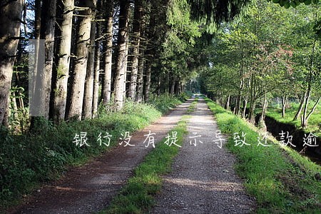 银行没有提示导致还款逾期 银行没有提示导致还款逾期