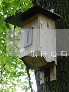 银行没有收入征信贷款逾期 银行没有收入征信贷款逾期