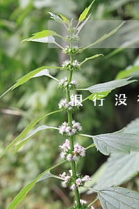 银行没有短信提醒逾期 银行没有短信提醒逾期