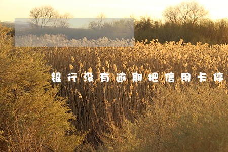 银行没有逾期把信用卡停了 银行没有逾期把信用卡停了