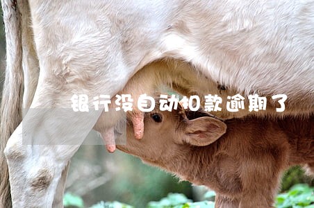 银行没自动扣款逾期了 银行没自动扣款逾期了