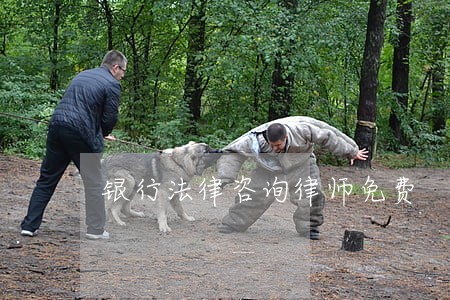 银行法律咨询律师免费 银行法律咨询律师免费
