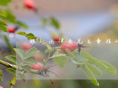 银行法律意见书章程修改