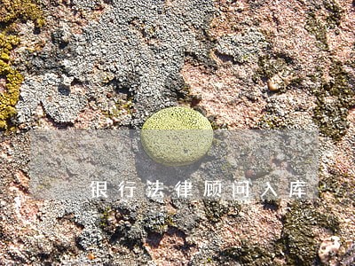 银行法律顾问入库 银行法律顾问入库