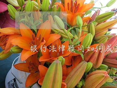 银行法律顾问如何成为 银行法律顾问如何成为