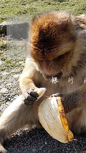 银行法律顾问工作计划 银行法律顾问工作计划