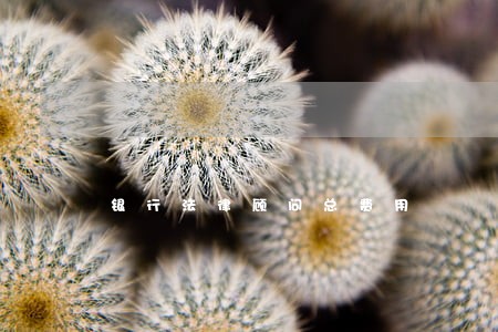 银行法律顾问总费用 银行法律顾问总费用