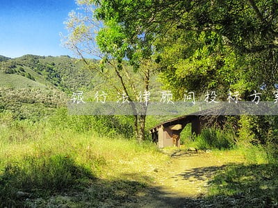 银行法律顾问投标方案 银行法律顾问投标方案
