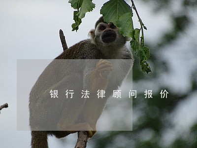 银行法律顾问报价 银行法律顾问报价