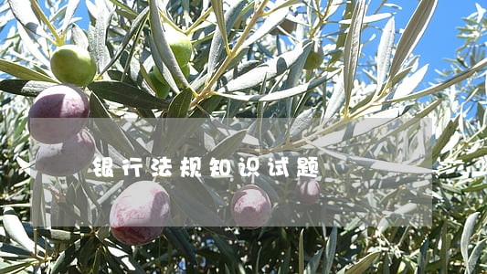 银行法规知识试题