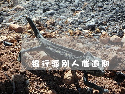 银行派别人催逾期 银行派别人催逾期